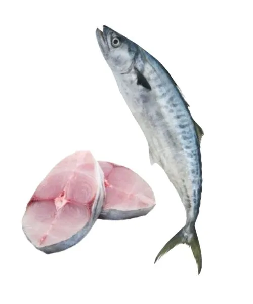 King fish slice supplier in UAE