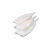 Frozen Squid Tube