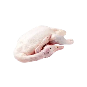 Frozen Duck whole Villa Germania