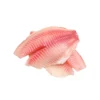 Frozen Tilapia Fillet