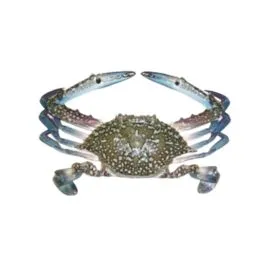 Crab