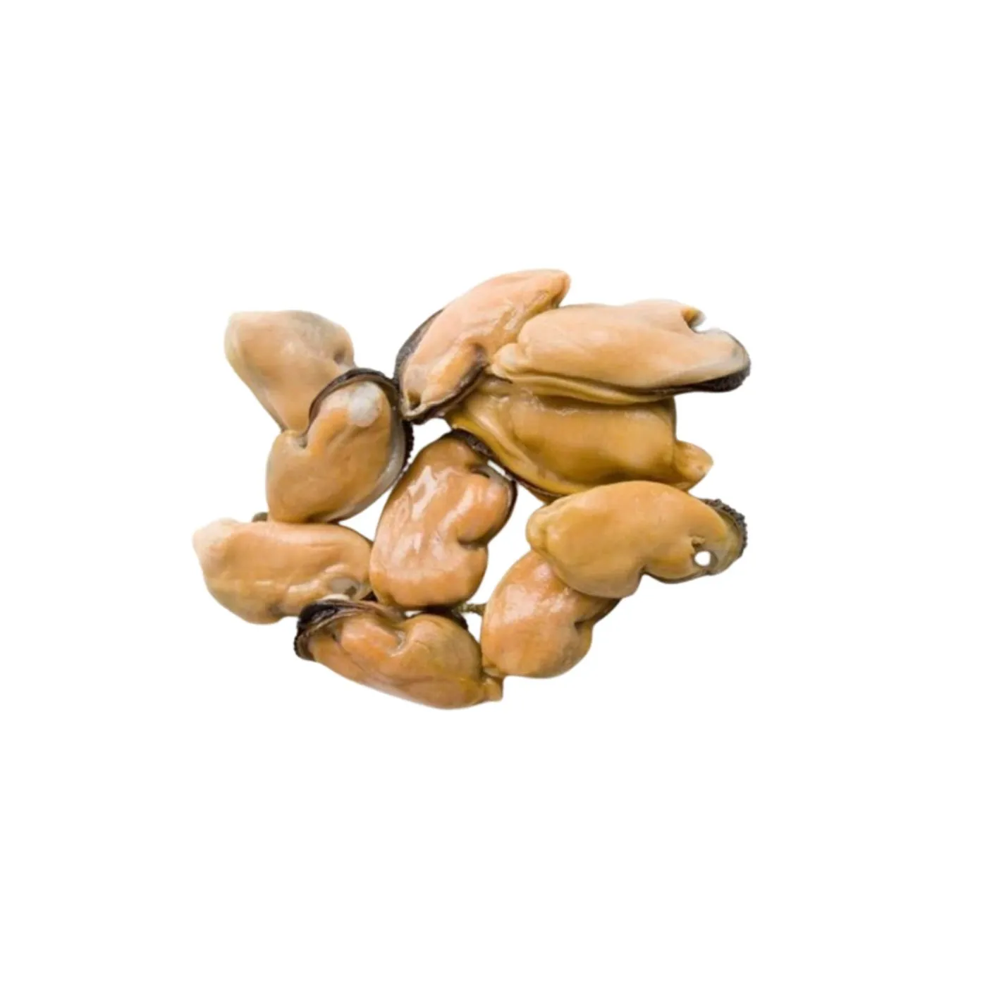 Frozen Foodstuff Supplier Frozen Mussels Meat China