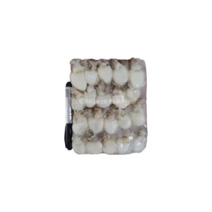 Frozen Baby Cuttlefish cleaned