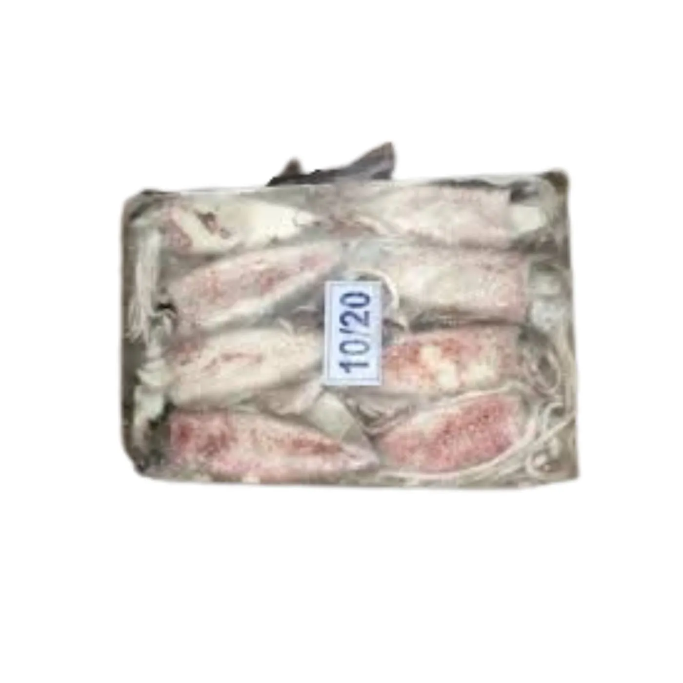 Frozen Foodstuff Supplier Frozen squid whole 10/20
