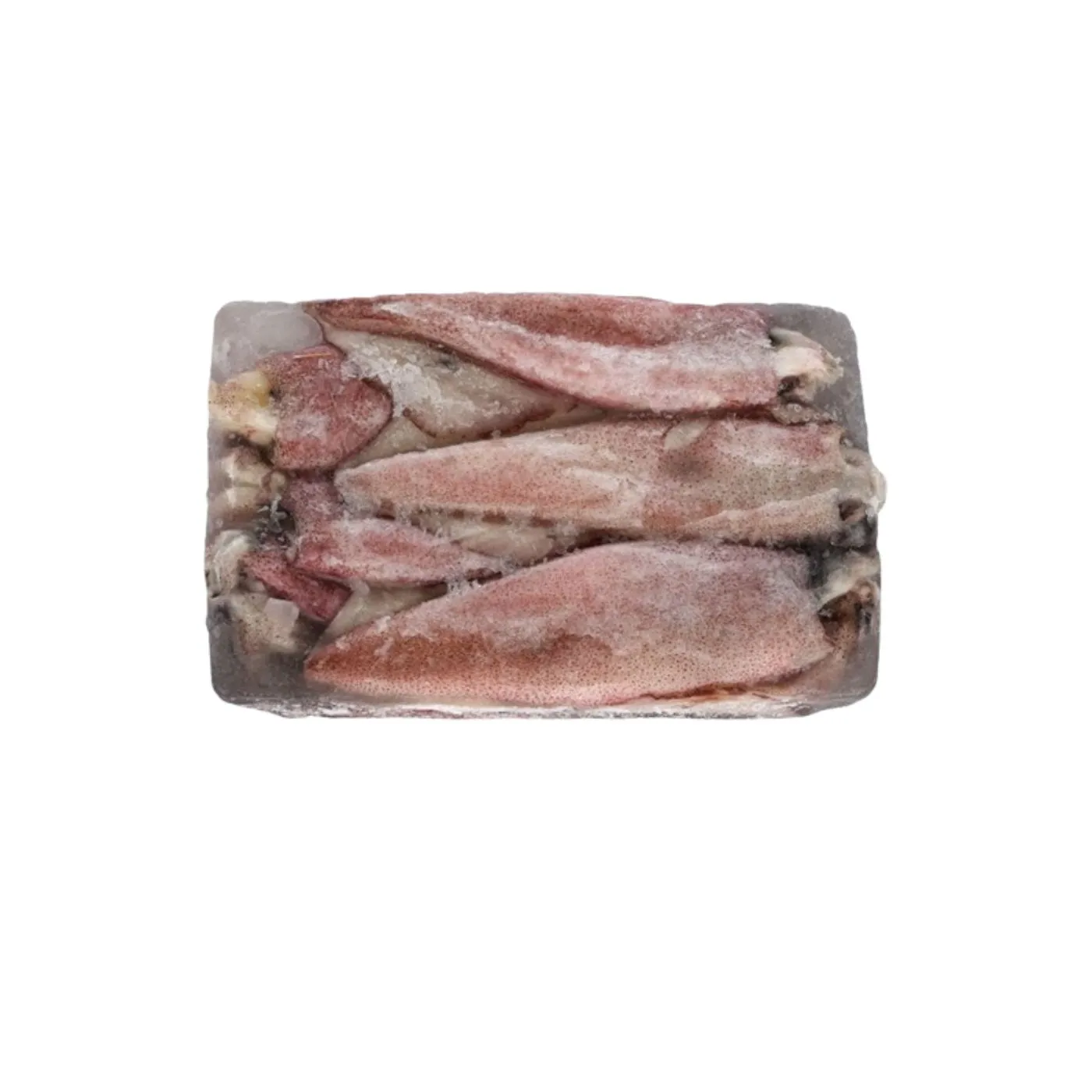 Frozen Foodstuff Supplier Frozen Squid whole 3/6 price