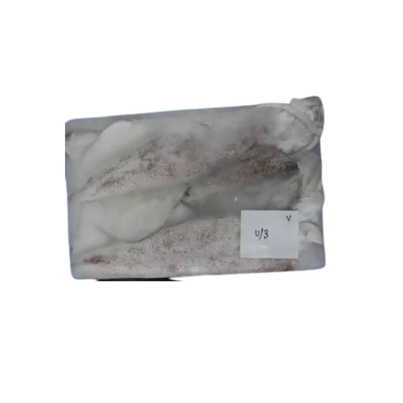 Frozen Foodstuff Supplier Frozen Squid whole U3 suppliers in Dubai