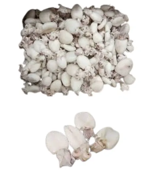Frozen Baby cuttlefish suppliers in UAE