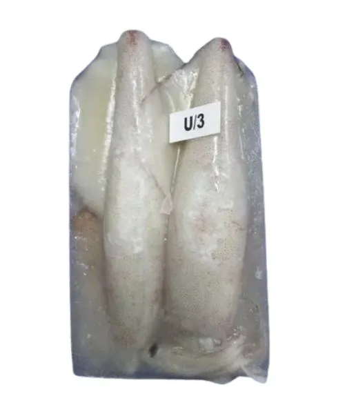 Frozen Foodstuff Supplier Frozen Squid whole U3 suppliers in Al Qouz