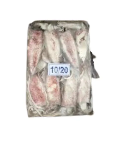 Frozen Foodstuff Supplier Frozen Squid whole 10/20 price in UAE