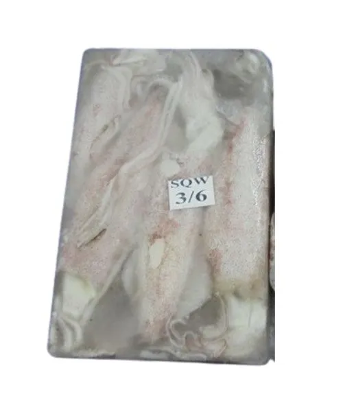 Frozen Foodstuff Supplier Frozen Squid whole 3/6 price in Dubai