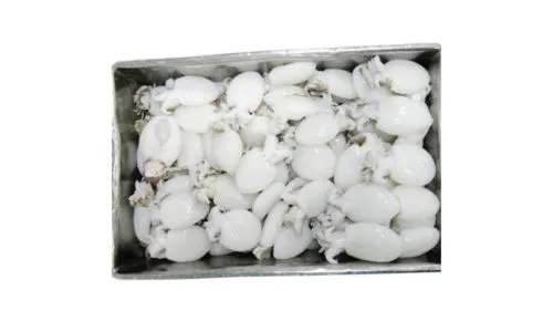 Frozen baby cuttlefish cleaned 20/40 price in Dubai