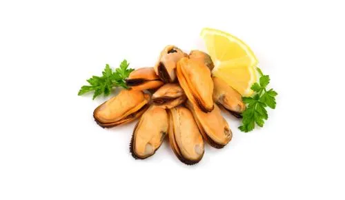 Frozen Mussels Meat China Price in Dubai