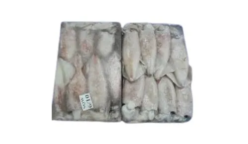 Frozen Squid whole 6/10 price in UAE