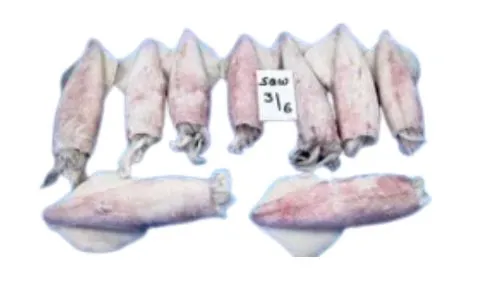 Frozen Foodstuff Supplier Frozen Squid whole 3/6 suppliers in Al Qouz