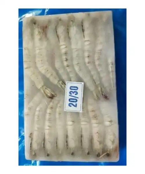 20/30 Sea white shrimps price Dubai