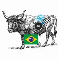 Frozen Brazil OX