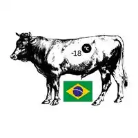 Frozen Brazil Beef