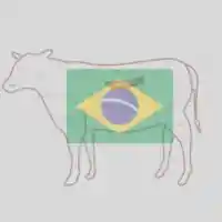 Frozen Foodstuff Suppliers in UAE