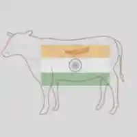 Frozen Foodstuff Suppliers in UAE