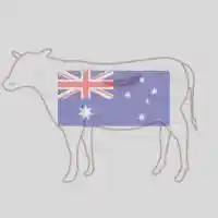 Frozen Foodstuff Suppliers in UAE