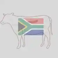 Frozen Foodstuff Suppliers in UAE