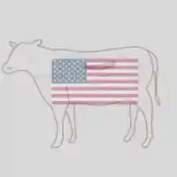 Frozen Foodstuff Suppliers in UAE