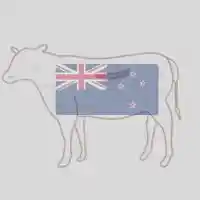 Frozen Foodstuff Suppliers in UAE