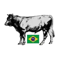 Brazil Beef
