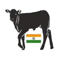 Indian Veal
