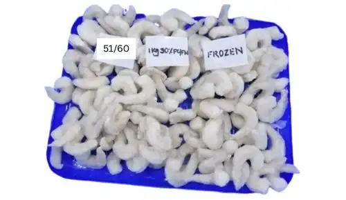 51/60 PD suppliers Dubai