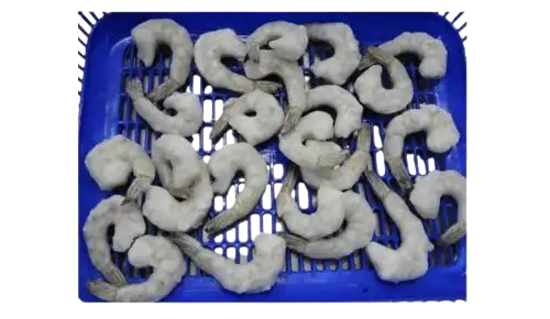 11/15 tail on price Abu Dhabi