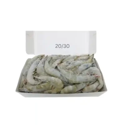 Frozen Shrimps 20/30 Ecuador