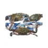 Frozen Whole Crab 100-200 gram