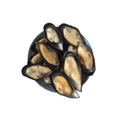 Frozen Half Shell Mussels China