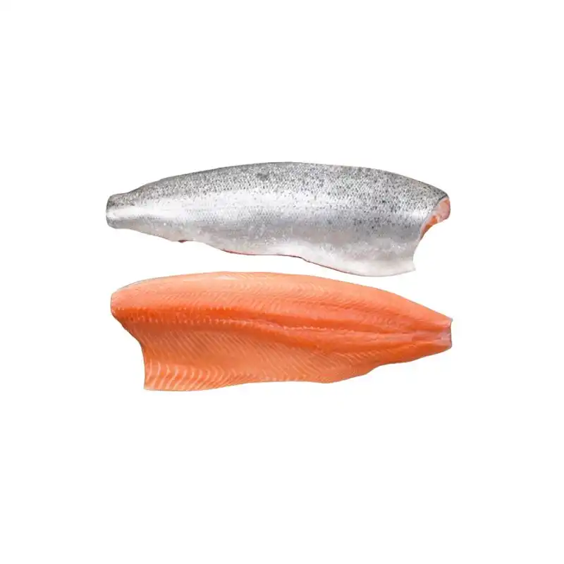 Frozen Salmon Fillet Skin on 1 Frozen Salmon Fillet Skin on