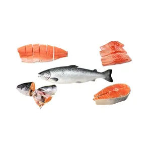 Frozen Salmon