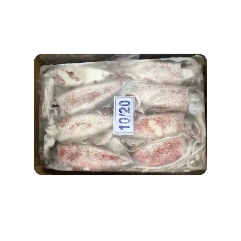 Frozen Squid Whole 10/20 1 Frozen Squid Whole 10/20