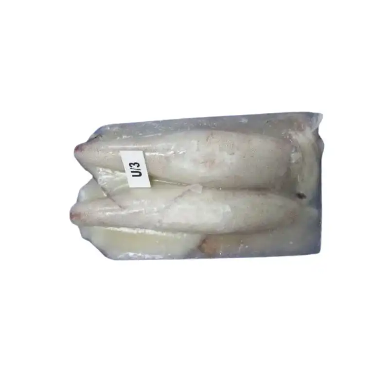 Frozen Squid Whole U3 1 Frozen Squid Whole U3