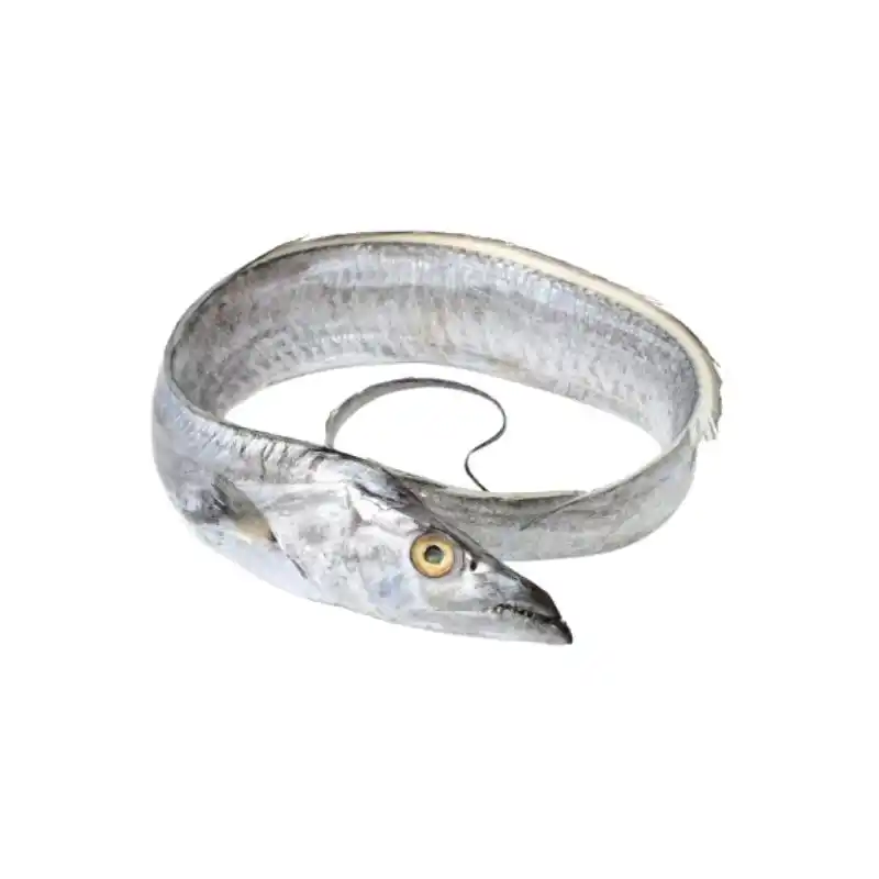 Frozen Belt Fish Ribbon Fish 1 Frozen Belt Fish Ribbon Fish