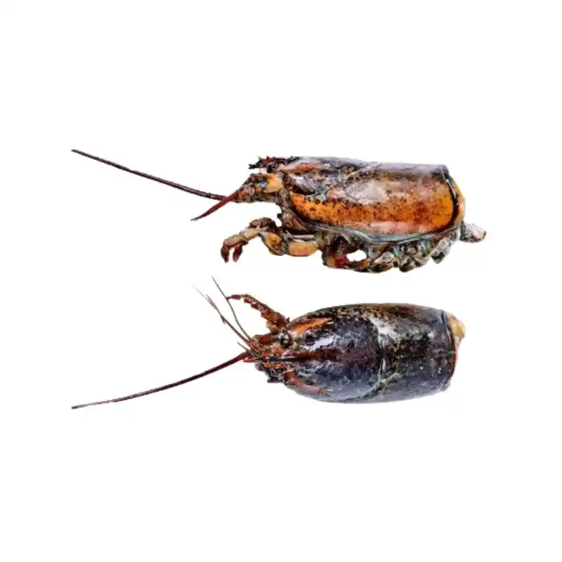 Frozen Lobster Head Assorted sizes 1 Frozen Lobster Head