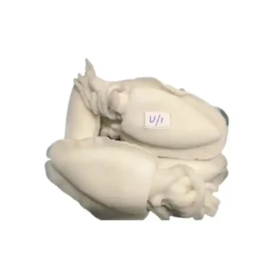 Frozen Cuttle Fish Cleaned 1 UP size