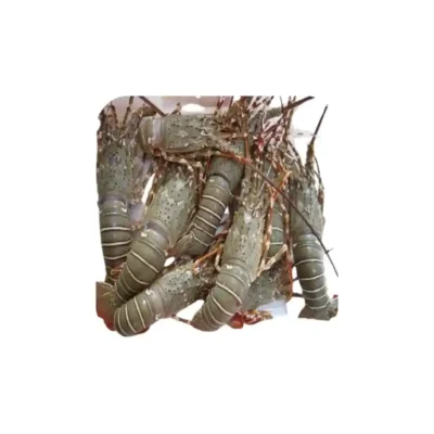 Frozen Lobster Whole 300-500 Gram