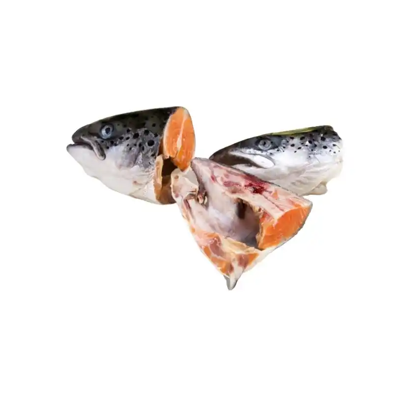 Frozen Salmon Head 1 Frozen Salmon Head