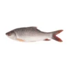 Frozen Rohu Fish Gutted 800-1000 Gram