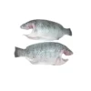 Frozen Tilapia Cleaned 100-200 Gram