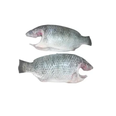 Frozen Tilapia Cleaned 100-200 Gram