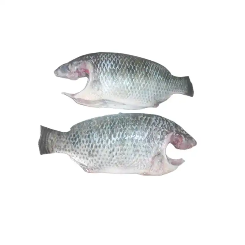 Frozen Tilapia Cleaned 100-200 Gram 1 Frozen Tilapia Cleaned 100-200 Gram