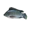 Frozen Tilapia whole 400-600 Gram Thailand