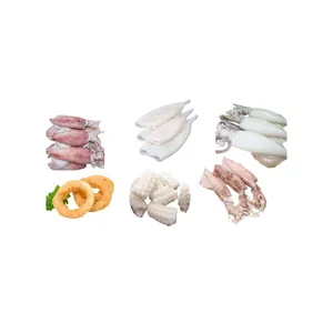 Frozen Squid