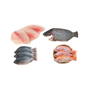 Frozen Tilapia